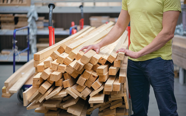 Why Choose Dani Trading for Wood & Timber Products