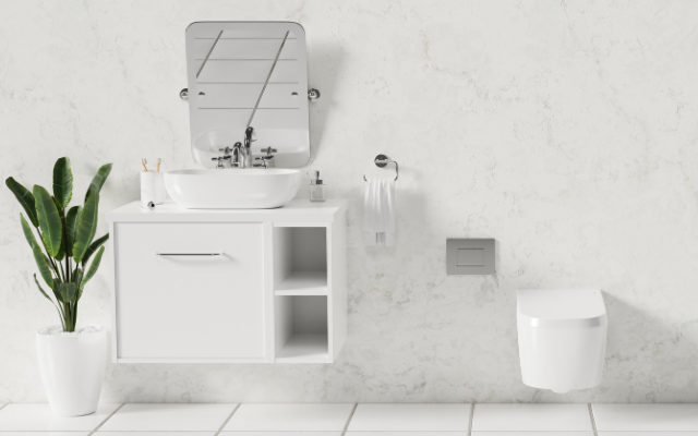Line #50 Washbasins and WCs