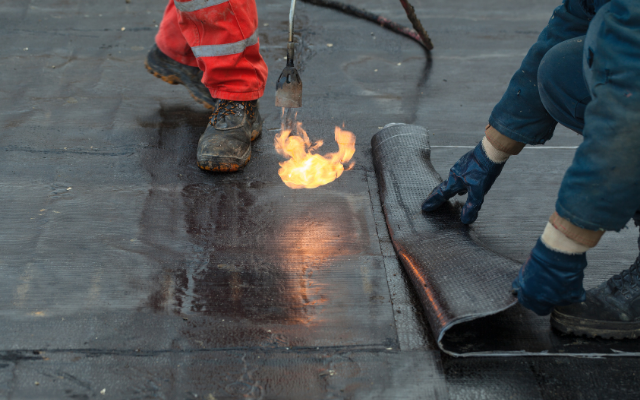 Line #69 SBS modified bitumen membranes