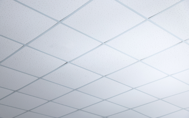 Line #76 Why Choose Dani Trading for Gypsum Ceiling Tiles