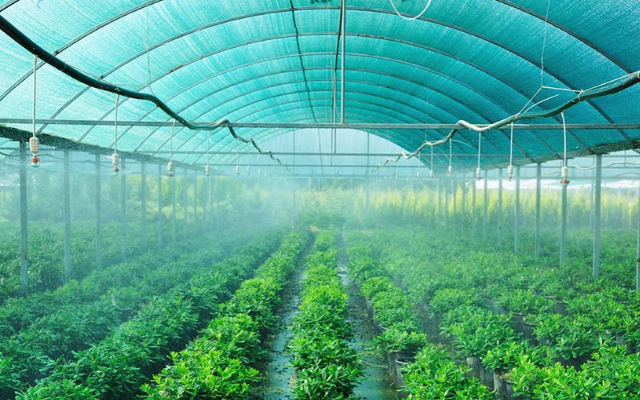 Line #94 Shade Net, Mesh and Fencing Supplier in Dubai, UAE