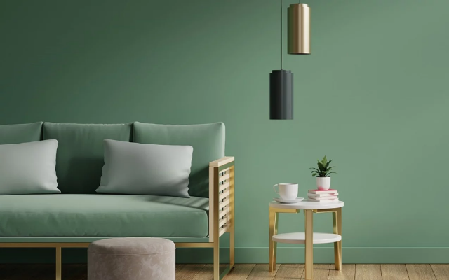 Line #256 – Why Choose Dani Trading for Caparol Paints